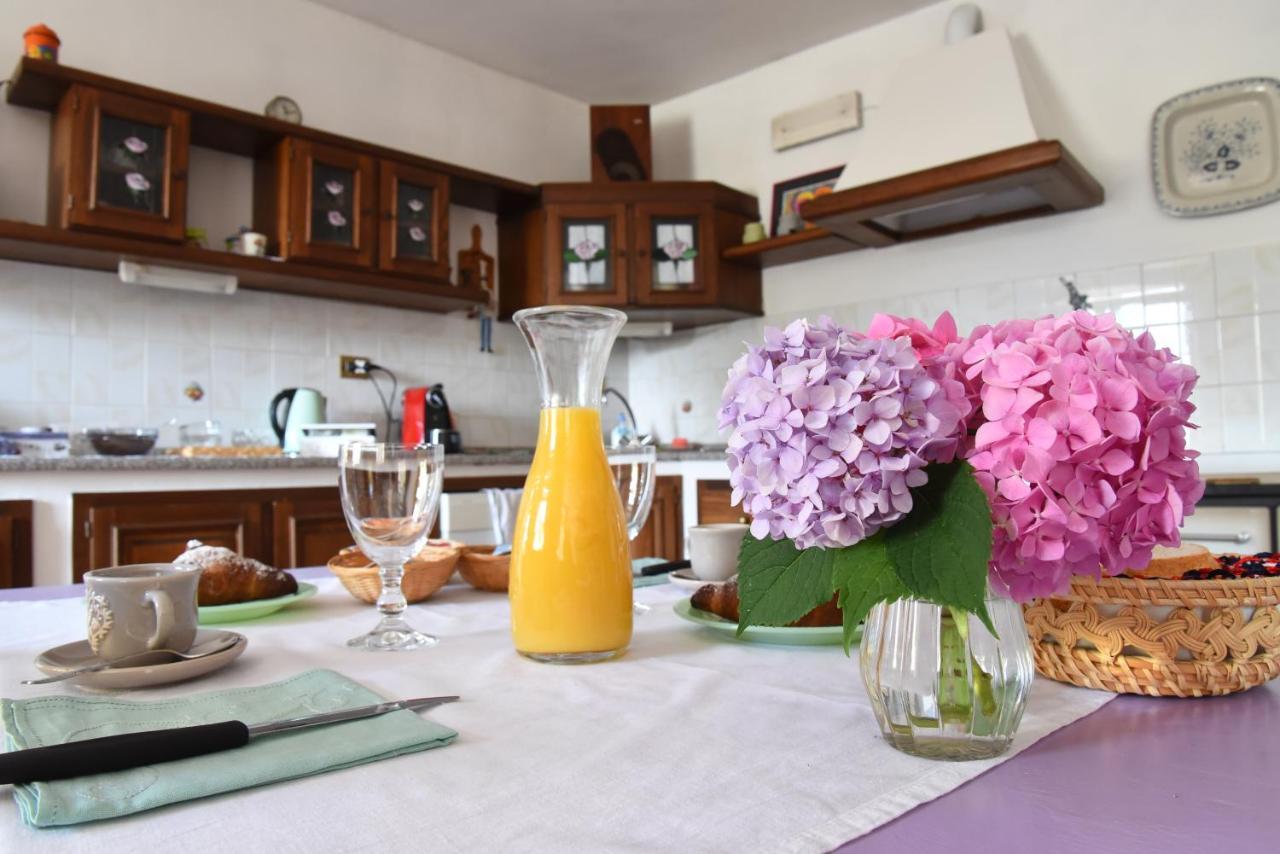 B&B La Riundela Асти Экстерьер фото
